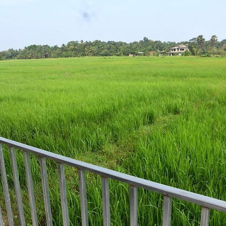 Meegahapokuna Resort Анурадхапура Экстерьер фото